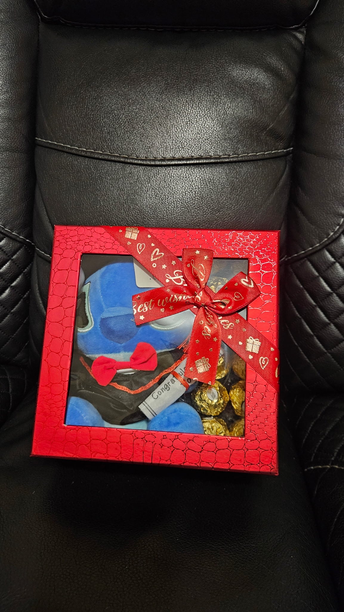 Stich Graduation Bear Boxes